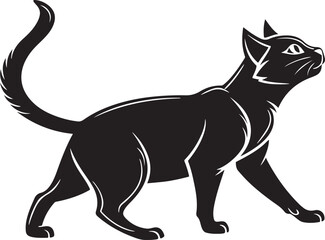 Black cat walking with tail up on white background