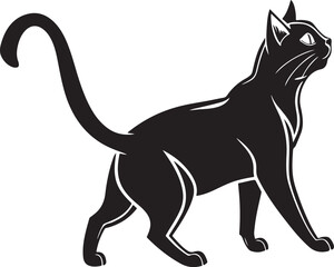 Black cat walking with tail up on white background