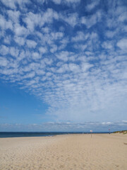 A panoramic view of a vibrant blue sky filled with numerous small, fluffy white altocumulus clouds above a serene beach and distant sea horizon.