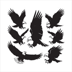 Obraz premium Graphics resources 