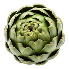 Obraz premium artichoke isolated on white