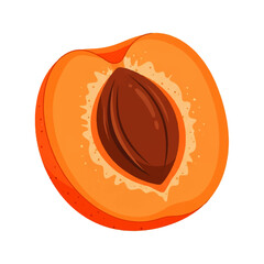 Colorful Fruit Icon Collection in Flat 2D Style Vector