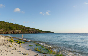 Pessoa caminhando à beira-mar em Curaçao, com colinas verdes ao fundo, mar azul-turquesa e avião sobrevoando o céu, capturando um momento tropical único.