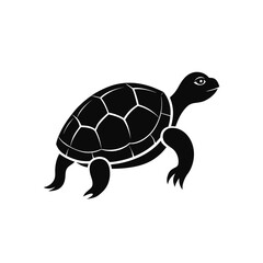 Turtle on a white background, Turtle line art silhouette vector illustration on white background.