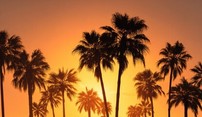 Obraz premium Tropical Sunset Palm trees silhouetted against a vibrant orange sunset, beach background, ideal for travel brochures