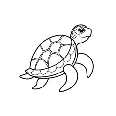 Turtle vector illustration, Vector icon of turtle isolated on white background. 