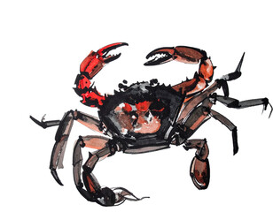 Illustration of a crab drawn with a brush. Interesting. Handwritten style. Brush. Seafood. Seafood delicacies. Crab.