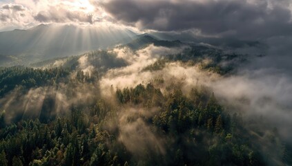 Sunbeams pierce a misty mountain landscape