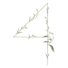 Digit 4 with floral motifs. Numeral four. Botanical font with herbs and wildflowers. Blooming green branches of Polygonum plant. Knotweed or Smartweed flower. Isolated on white background.