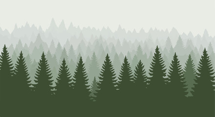 Obraz premium Forest scene featuring dense rows of coniferous trees with fog & layered depth