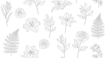 An elegant black and white line drawing of various botanical elements.