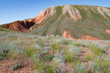 May landscape with sacred mountain of the Bolshoye Bogdo. Astrakhan region, Russia