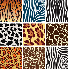 vector animal skin textures of tiger, zebra, giraffe, leopard and cow