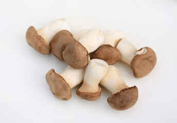 Orinji Mushrooms isolated on white studio background.