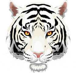 White tiger face illustration, fierce predator portrait, wildlife conservation symbol, majestic big cat head, endangered animal artwork, detailed vector jungle carnivore design