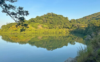 Horizontal natural photography, trees, lake and mountain reflection