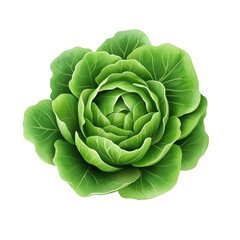 Obraz premium A beautifully arranged mix of green and red leaf lettuce in a bowl on transparent png background. Ai generated
