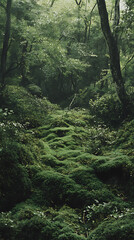 Fototapeta premium Lush forest floor covered in moss