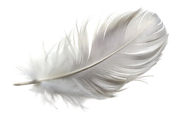 Obraz premium Closeup of a fluffy white feather isolated on transparent background, capturing its intricate details and delicate texture