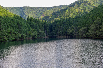 森の中の大きな湖