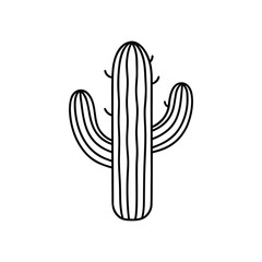Obraz premium Succulent flower. Floral plants botanical cactus. cactus line art vector
