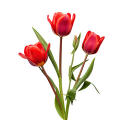 Close-up of three vibrant red tulips, with hints of deep crimson.  Fresh green leaves and buds complete the bouquet