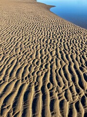 view of sea bottom during low tide 