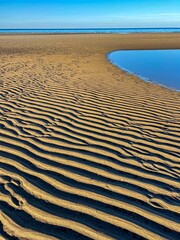 view of sea bottom during low tide 
