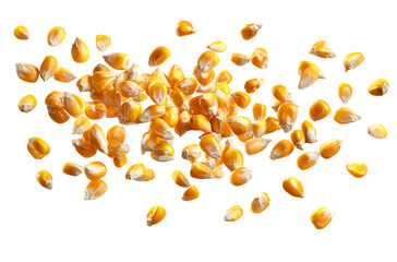 Falling corn kernels isolated on a white background, top view. The concept of providing food for animals and human beings