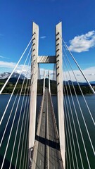 Elevated view of a modern cable-stayed bridge over water