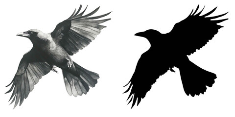 Obraz premium PNG a white bird flying through a black sky with a transparent background