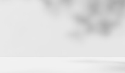 Empty white room studio with leaves shadow overlay effect for product presentation display. Cosmetic beauty fashion showroom. Morning sunlight through the window. Minimal Mock up interior background.