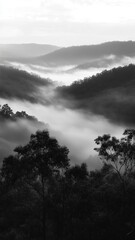 Fototapeta premium Misty morning fog rolling over forested mountains under a cloudy sky