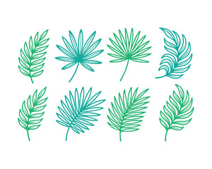 Obraz premium Collection of tropical leaves vector illustrations