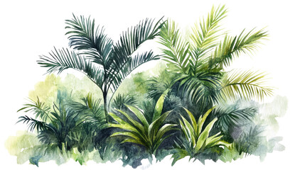 Palm tree branches with tropical green leaves and natural exotic foliage isolated on white background
