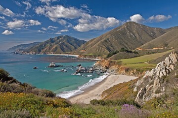 Obraz premium Coastal vista, mountains, beach, wildflowers