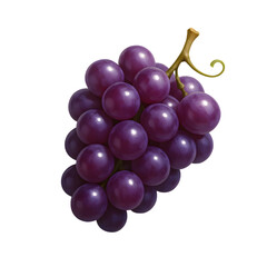 Fototapeta premium 3d grapevine icon in white transparent png background cutout