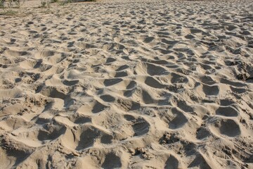 Light beige sand with subtle depressions