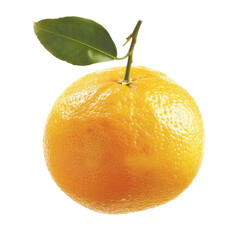 Single, ripe orange fruit with leaves