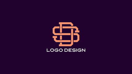 DS Monogram Logo | Interlocked DS Lettermark for Professional and Creative Branding

