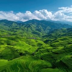 Terraforming Terraces