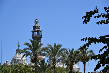 dwie kopułki i palmy © Miroslaw