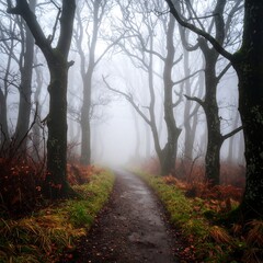 Fototapeta premium Misty path winding through a dense, leaf-strewn forest