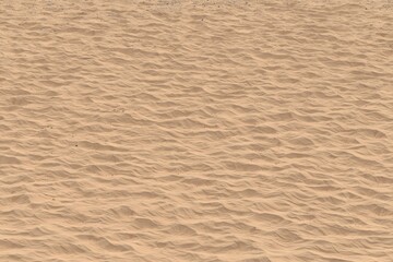 Obraz premium Beige sand surface with subtle ripples