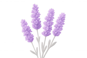 Fototapeta premium Lavender botanical illustration, transparent backdrop revealing delicate purple blooms against clean white space