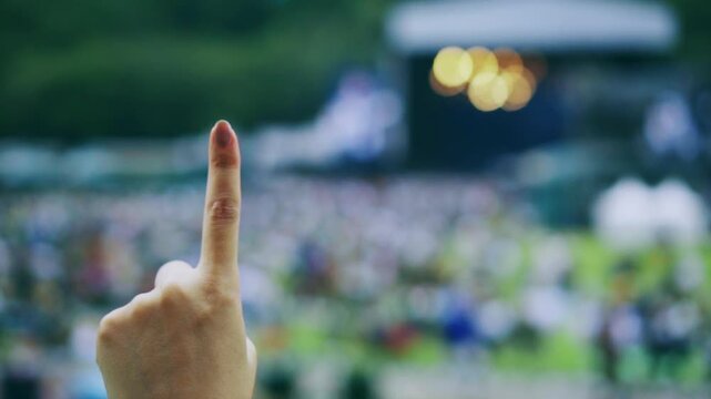 フェス　トンボ