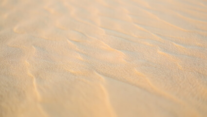 Fototapeta premium Soft Beige Sand Dune Texture: Warm, Serene, Natural Background Image
