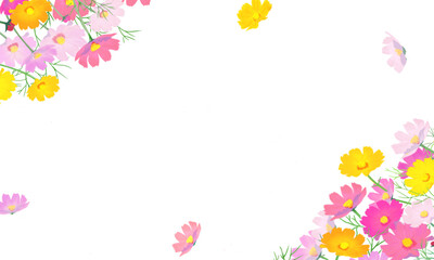 揺れるコスモスのフレーム