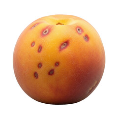 Fototapeta premium A single, ripe golden-orange peach with rosy blush, fuzzy skin, and dark bruises, isolated on a clean transparent background with soft studio lighting, sharp macro focus, concept of natural
