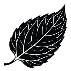 Obraz premium fallen-leaf-vector-icon-.eps